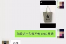 磐石为什么选择专业追讨公司来处理您的债务纠纷？